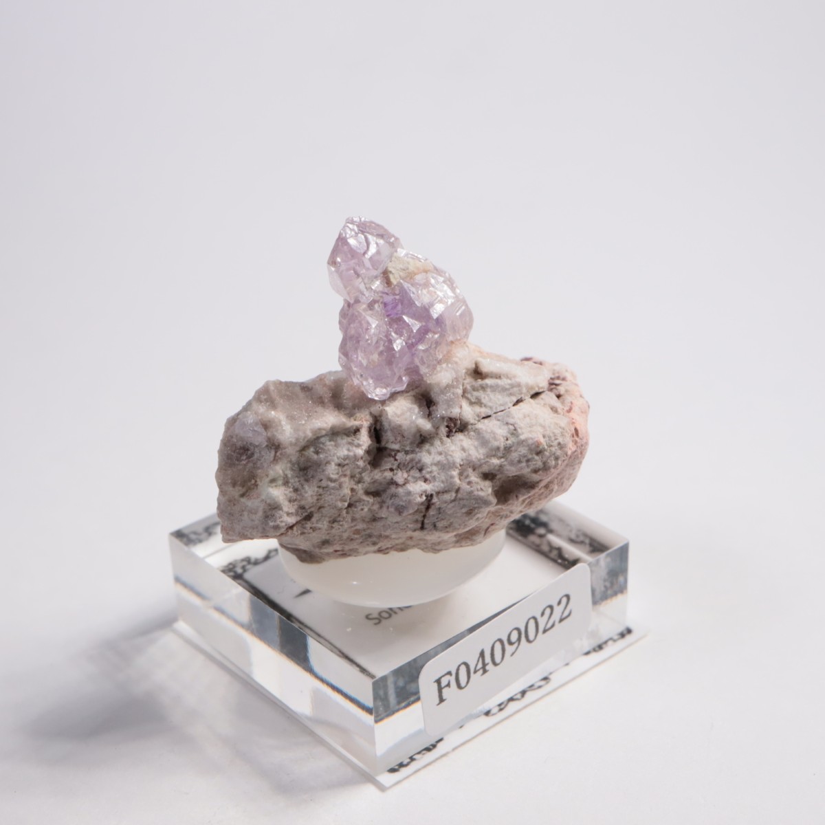 �ᥭ������ ���᥷����