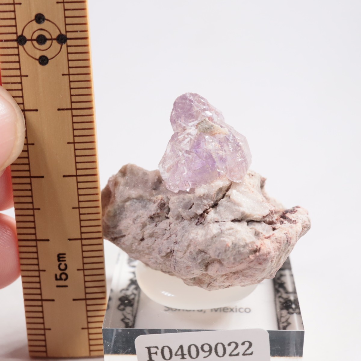 �ᥭ������ ���᥷����