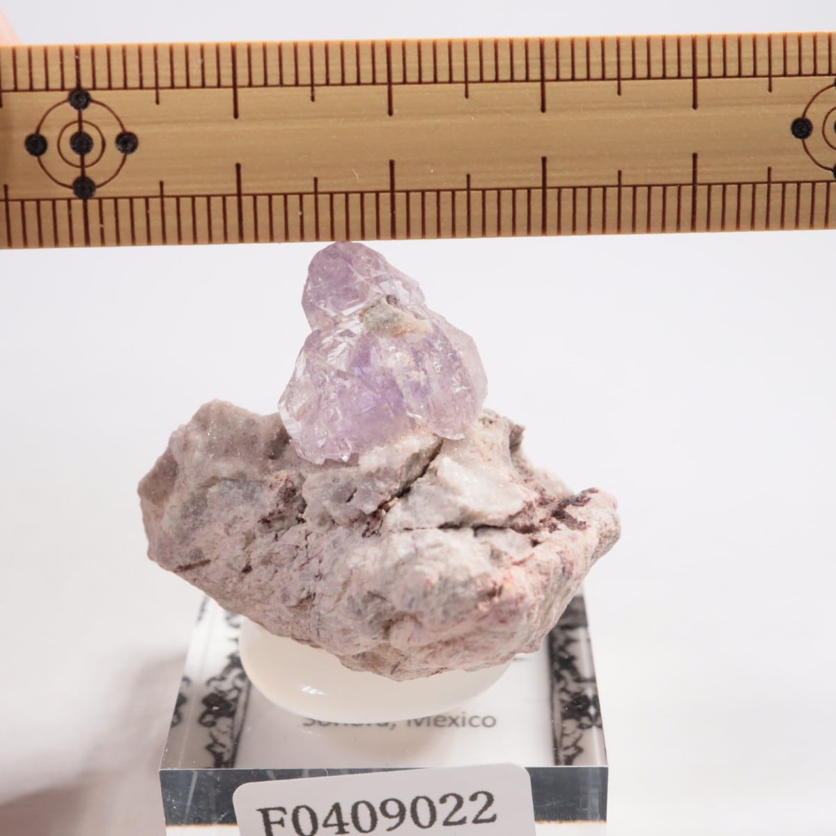 �ᥭ������ ���᥷����