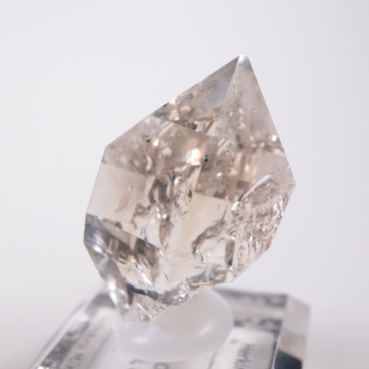 �˥塼�衼������ �ϡ����ޡ��徽