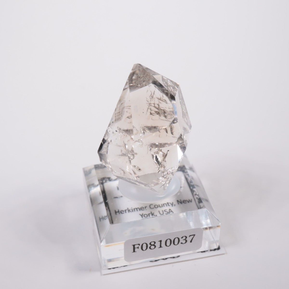 �˥塼�衼������ �ϡ����ޡ��徽