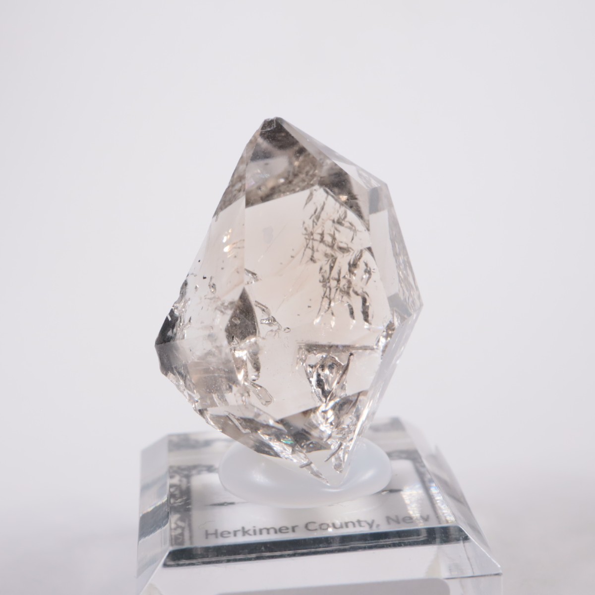 �˥塼�衼������ �ϡ����ޡ��徽