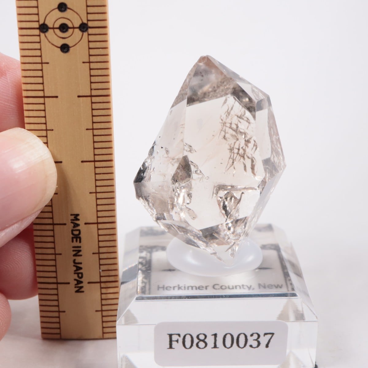 �˥塼�衼������ �ϡ����ޡ��徽