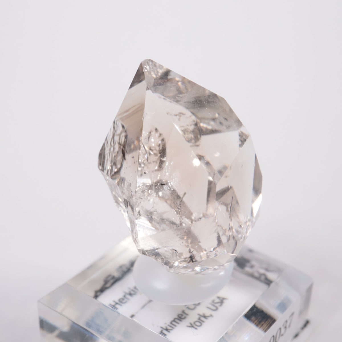 �˥塼�衼������ �ϡ����ޡ��徽