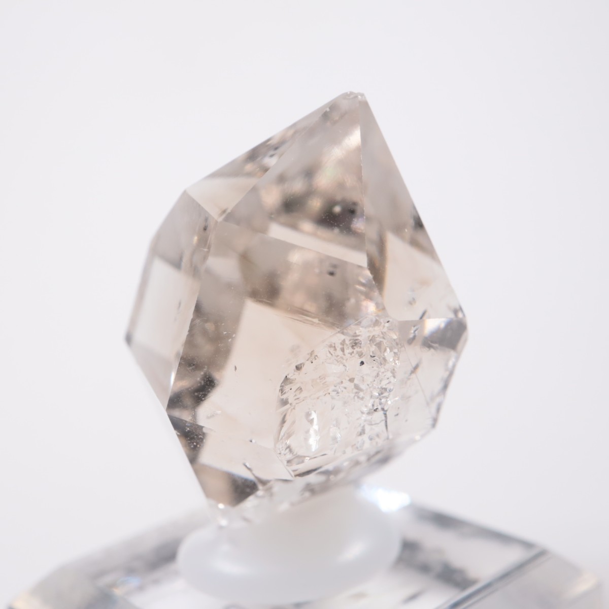 �˥塼�衼������ �ϡ����ޡ��徽