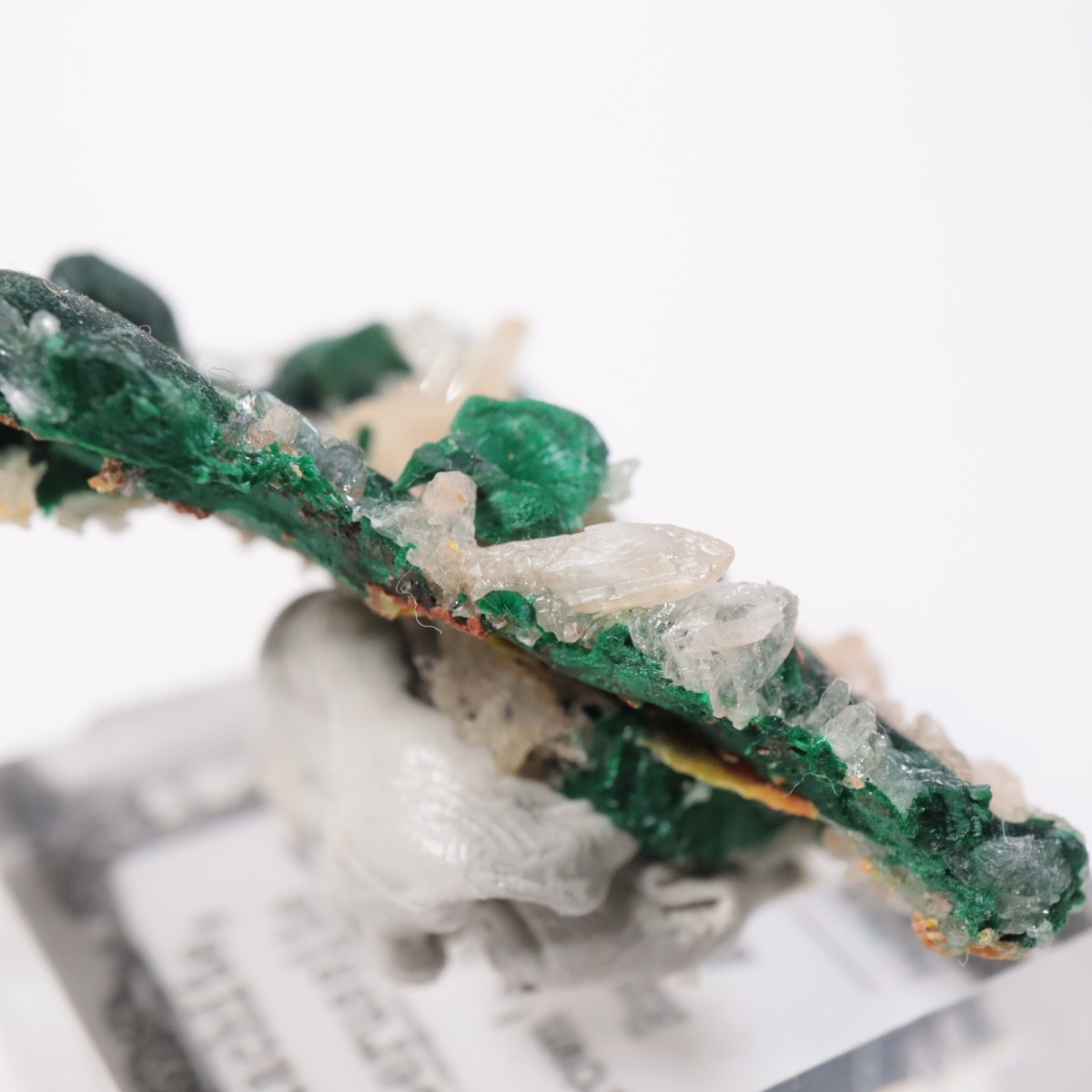 �������ȥ�ꥢ�� �ޥ饫���ȡ����륵����