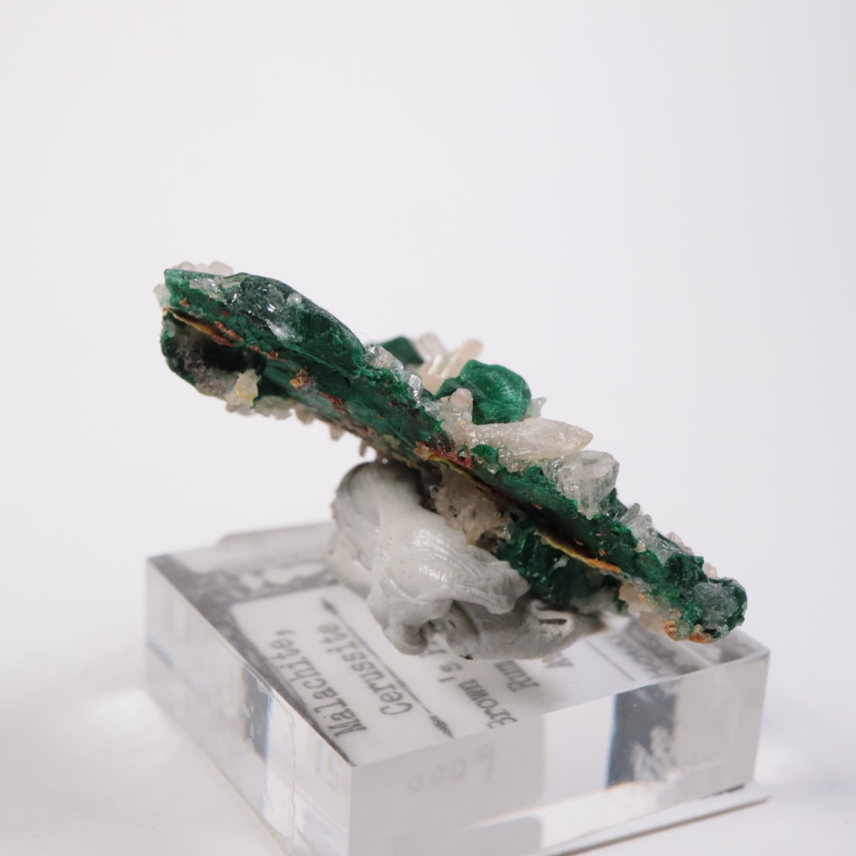 �������ȥ�ꥢ�� �ޥ饫���ȡ����륵����