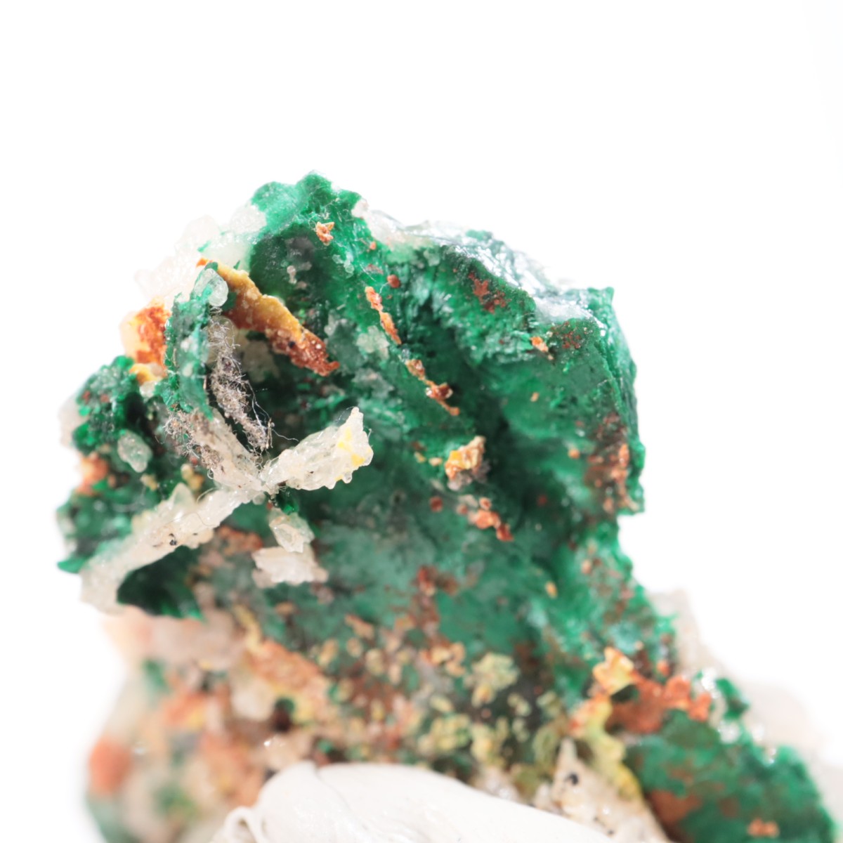 �������ȥ�ꥢ�� �ޥ饫���ȡ����륵����