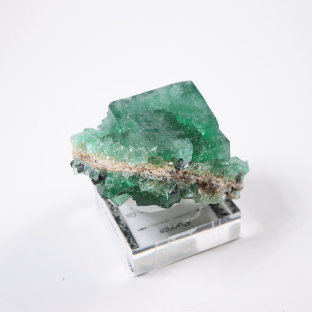 �ǥ����ʥޥꥢ�ۻ� �ե����饤��