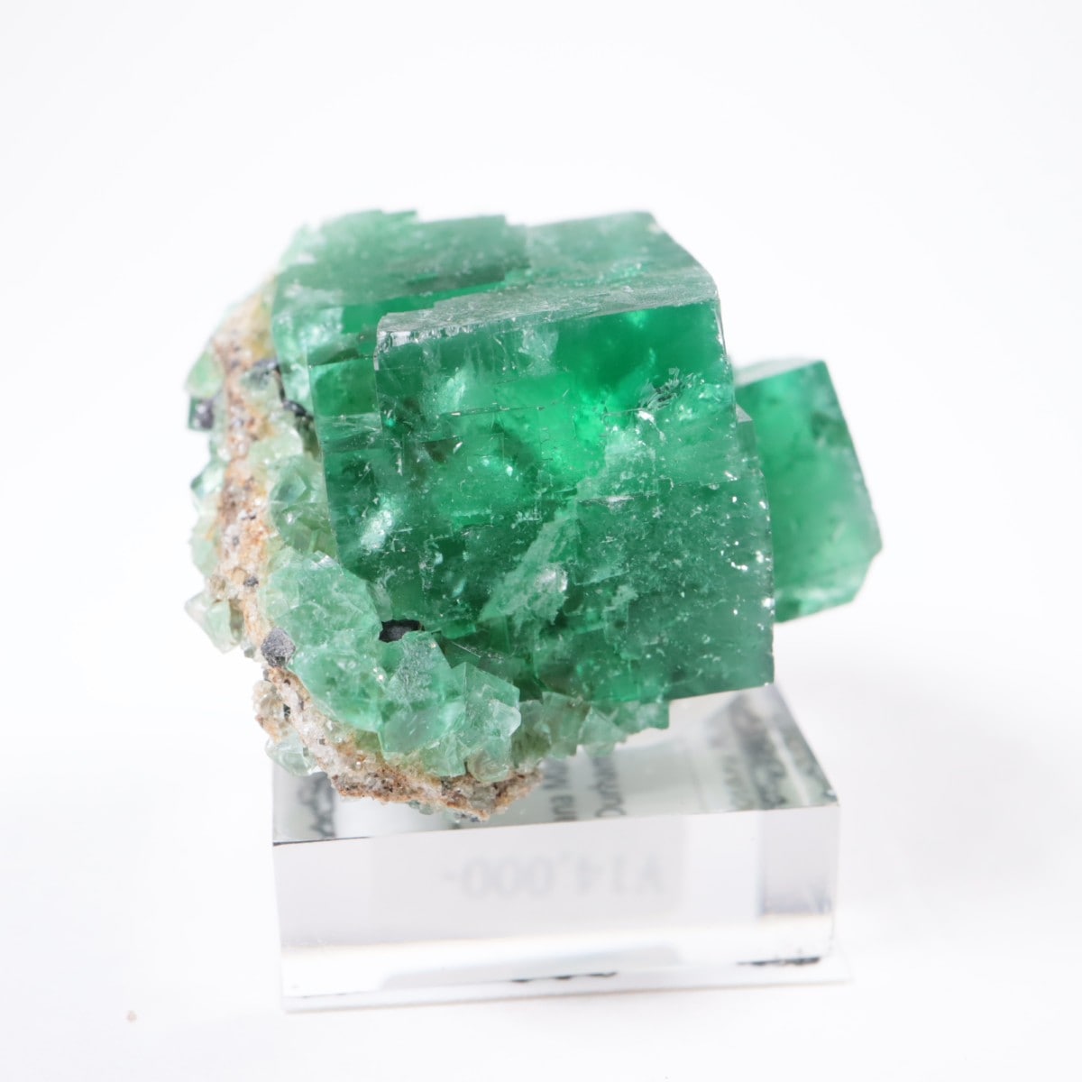 �ǥ����ʥޥꥢ�ۻ� �ե����饤��