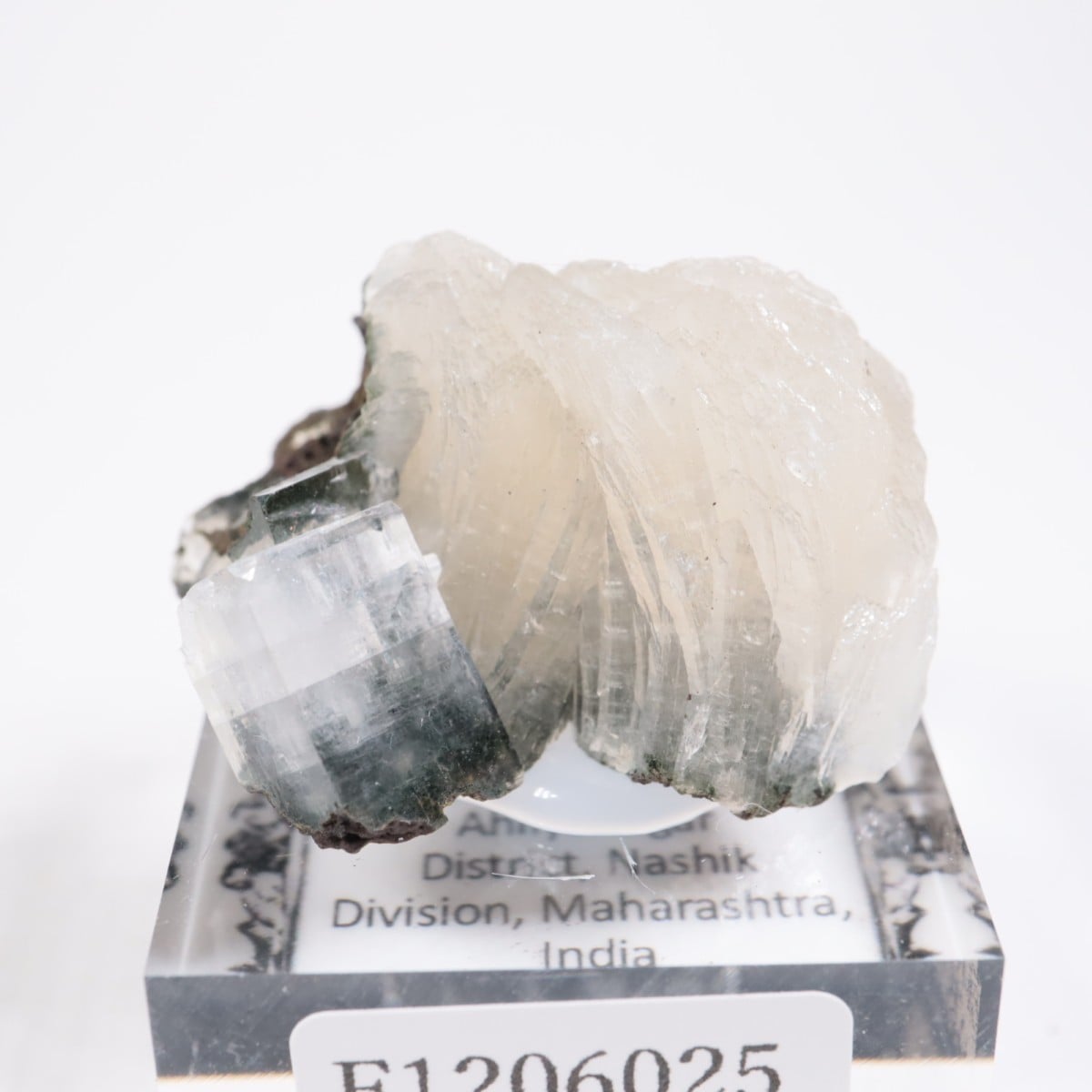 ����ɻ� ���ݥե��饤��