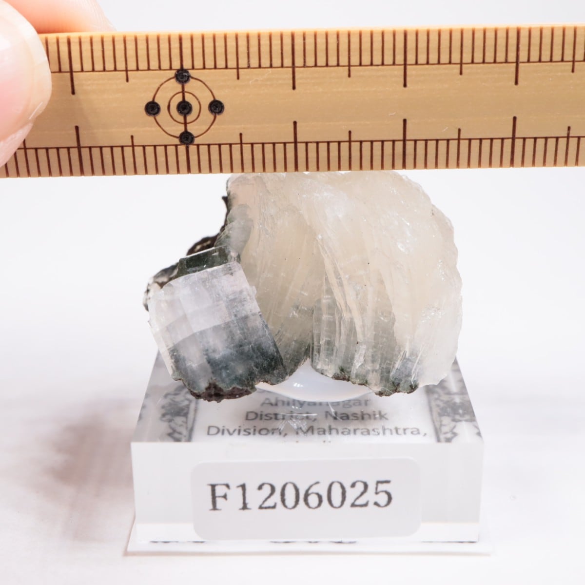 ����ɻ� ���ݥե��饤��