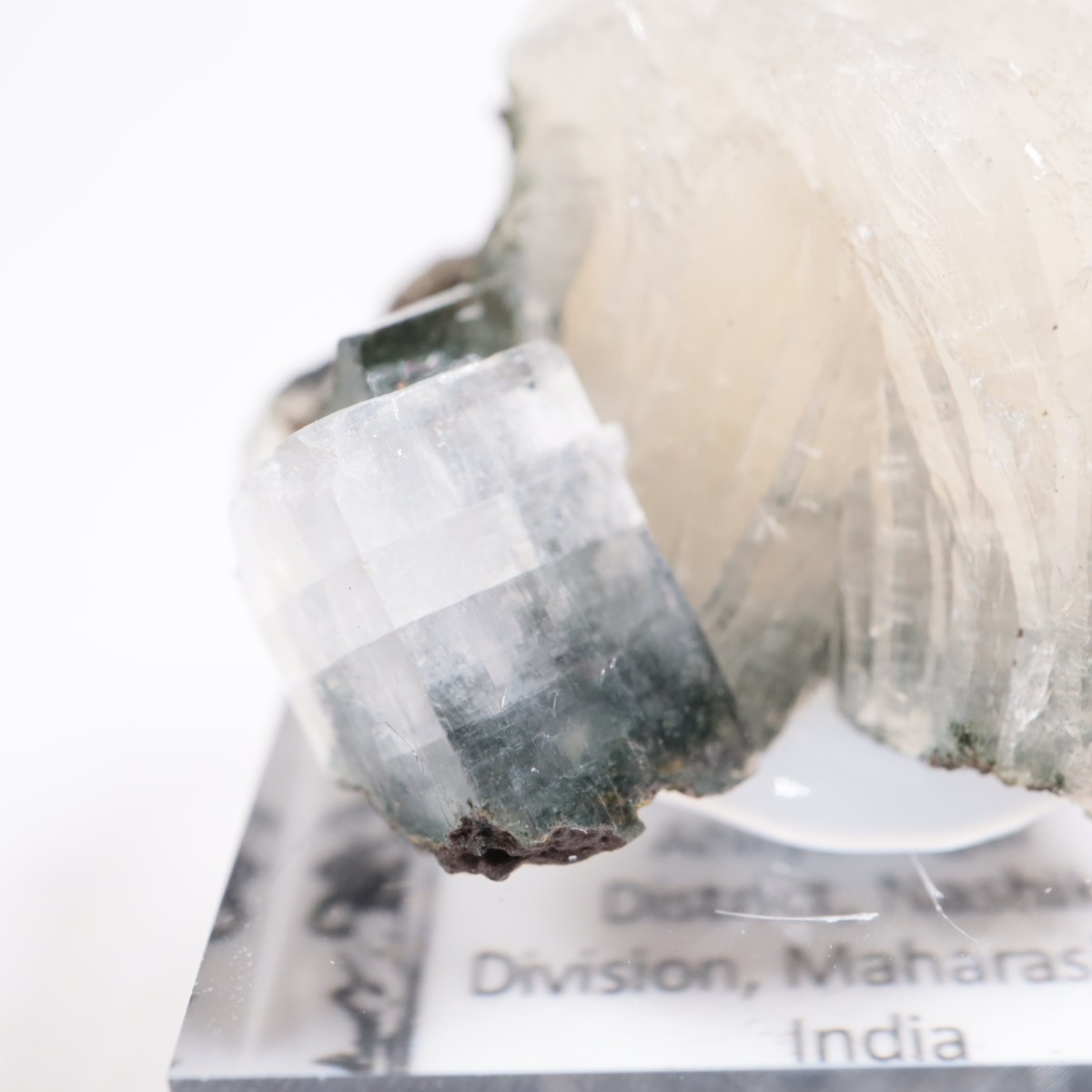 ����ɻ� ���ݥե��饤��