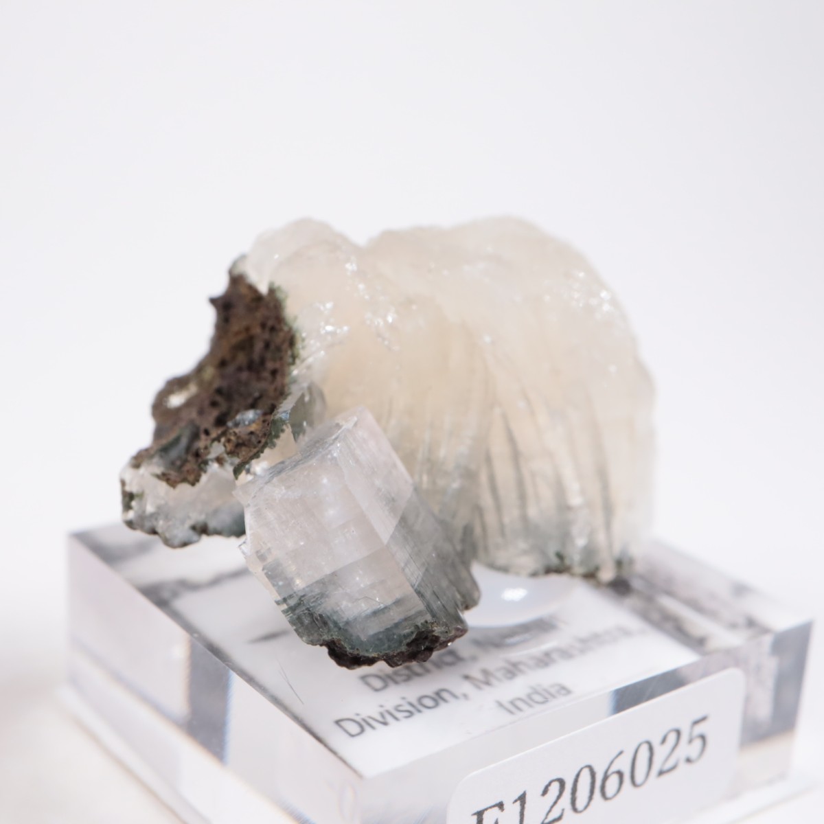 ����ɻ� ���ݥե��饤��