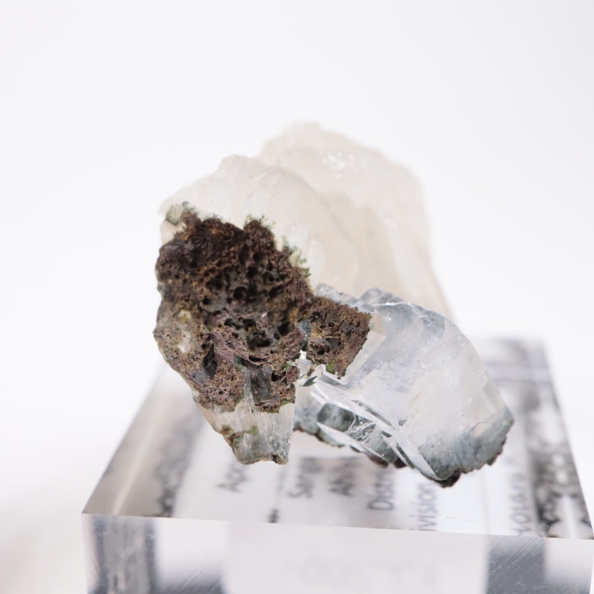 ����ɻ� ���ݥե��饤��