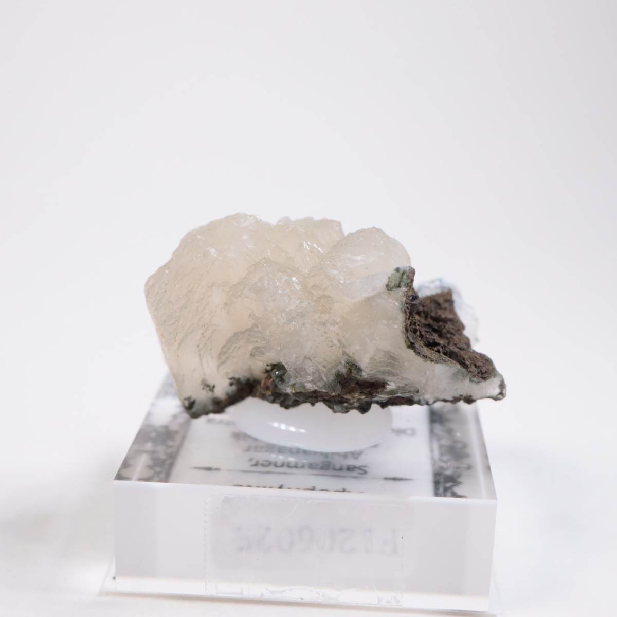 ����ɻ� ���ݥե��饤��