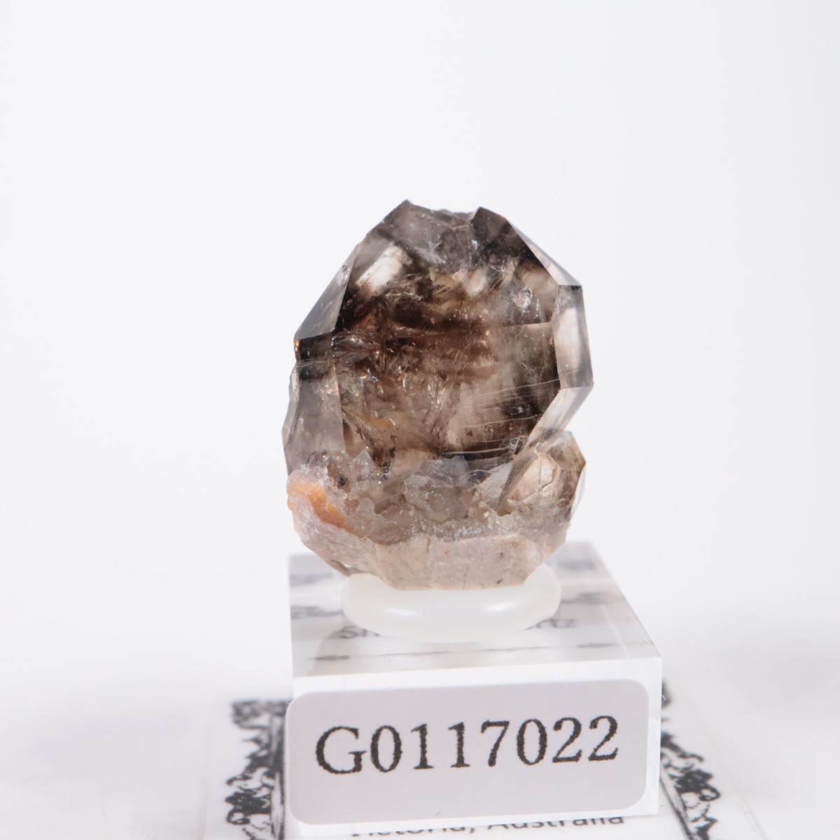 オーストラリア産 モララ水晶 | 鉱物標本,サ行,スモーキークォーツ/煙
