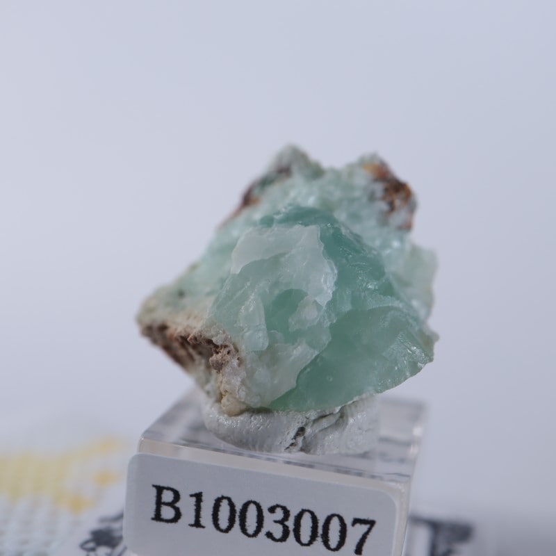 Blancherd�ۻ��������ߥ��ʥ���