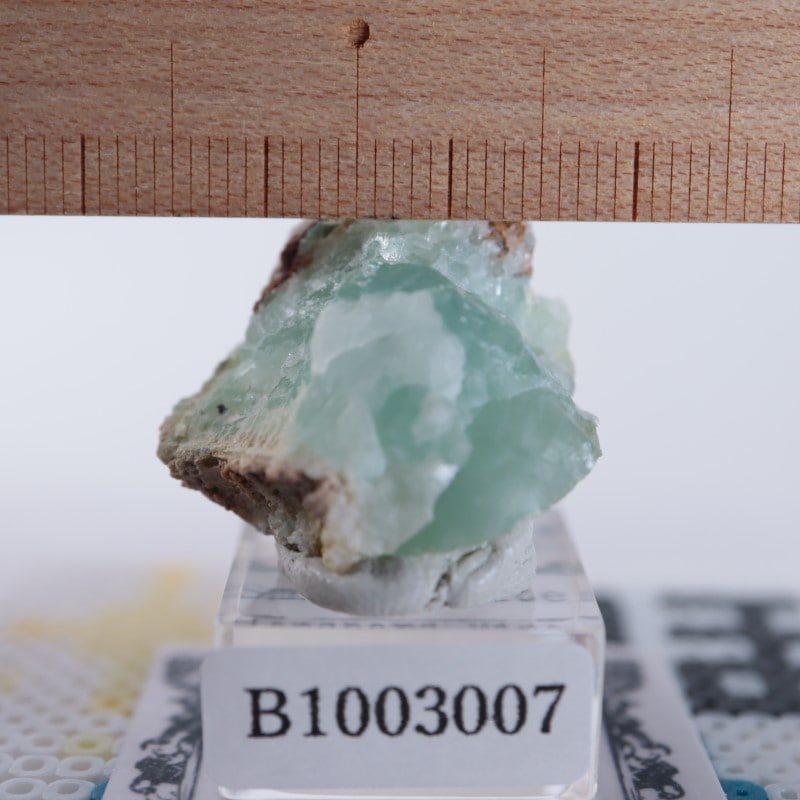 Blancherd�ۻ��������ߥ��ʥ���