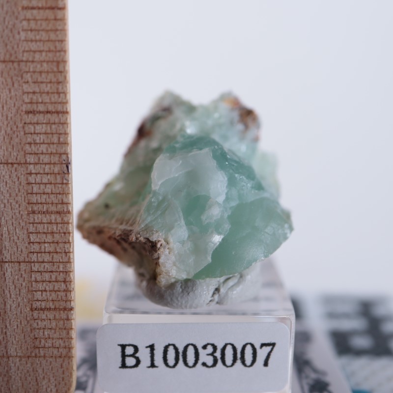 Blancherd�ۻ��������ߥ��ʥ���