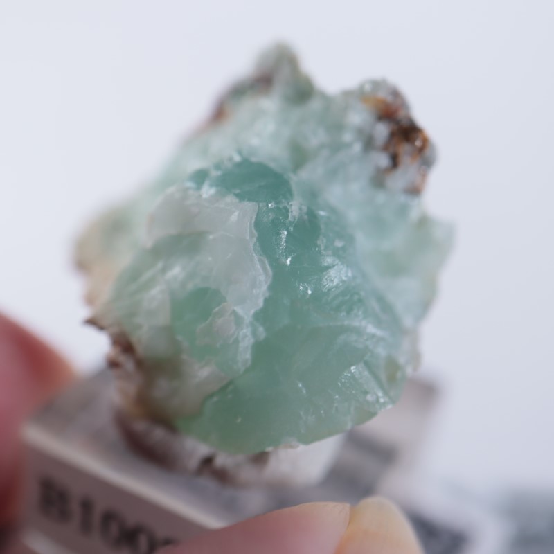 Blancherd�ۻ��������ߥ��ʥ���