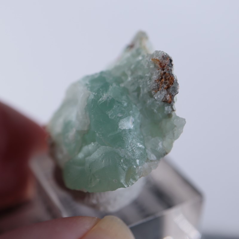 Blancherd�ۻ��������ߥ��ʥ���