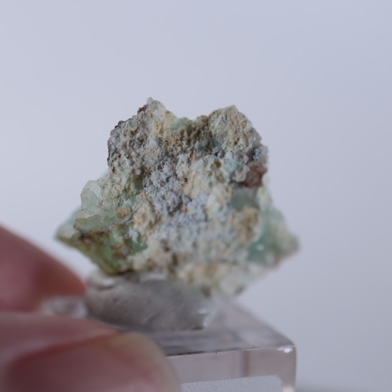 Blancherd�ۻ��������ߥ��ʥ���