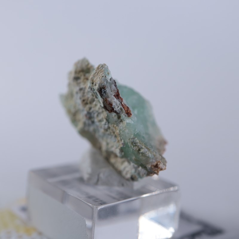 Blancherd�ۻ��������ߥ��ʥ���