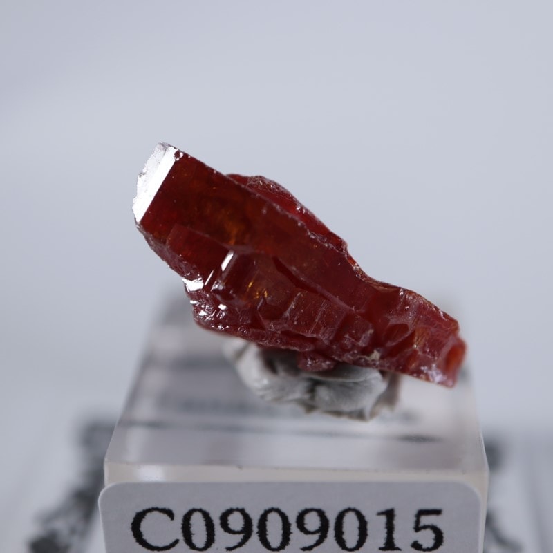 ����å������Хʥǥ��ʥ���