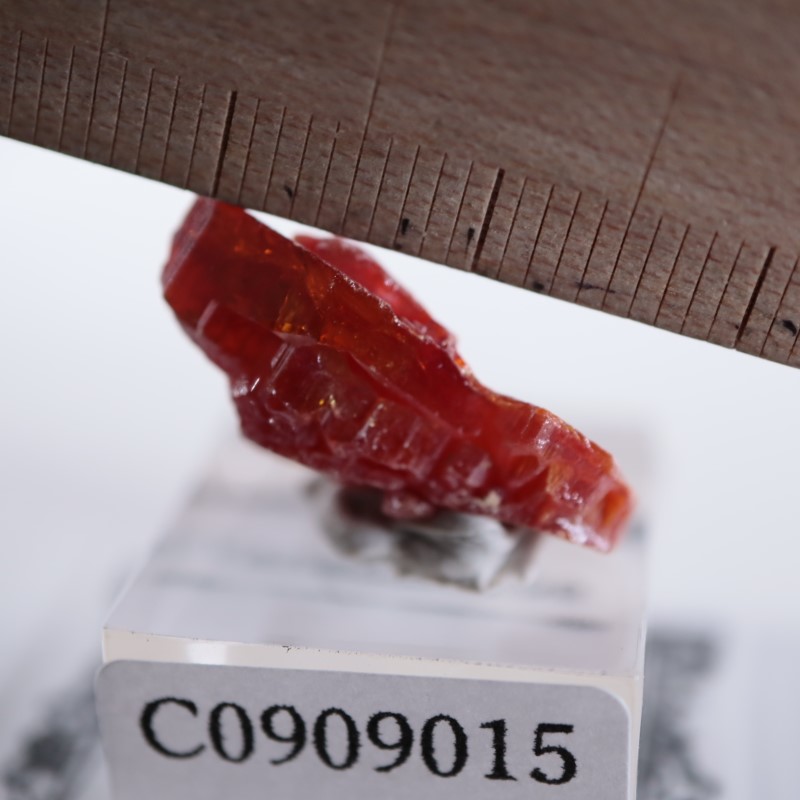 ����å������Хʥǥ��ʥ���