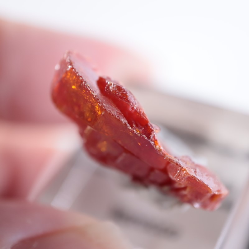 ����å������Хʥǥ��ʥ���