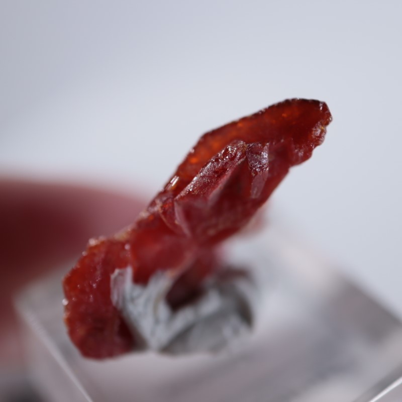 ����å������Хʥǥ��ʥ���