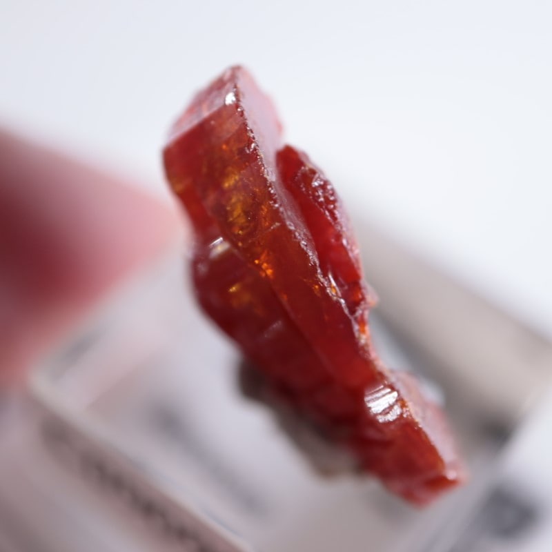 ����å������Хʥǥ��ʥ���