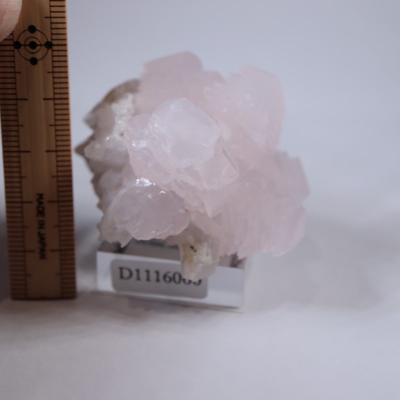 ブルガリア産 マンガノカルサイト | 鉱物標本,カ行,カルサイト