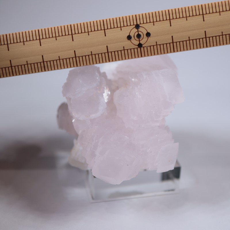 ブルガリア産 マンガノカルサイト | 鉱物標本,カ行,カルサイト/方解石