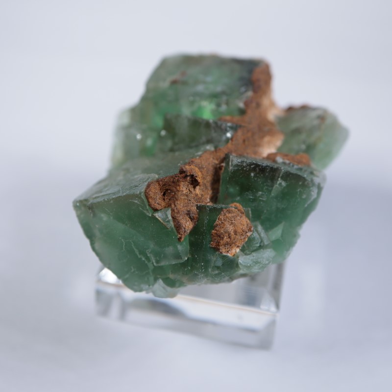 El Hammam�ۻ����ե����饤��