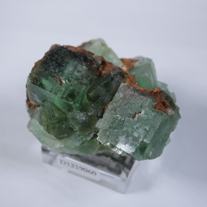 El Hammam�ۻ����ե����饤��