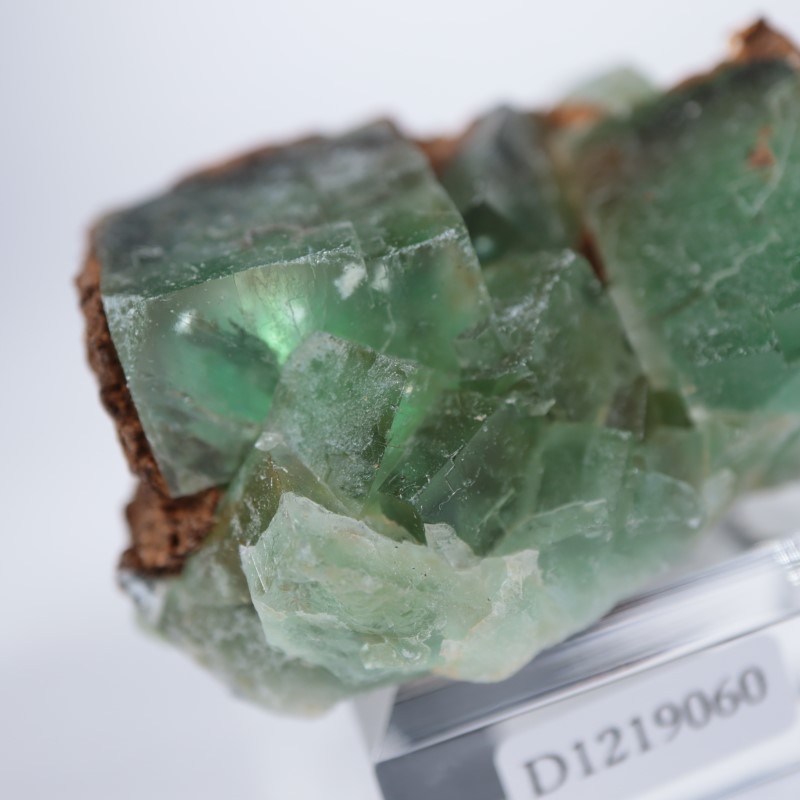 El Hammam�ۻ����ե����饤��