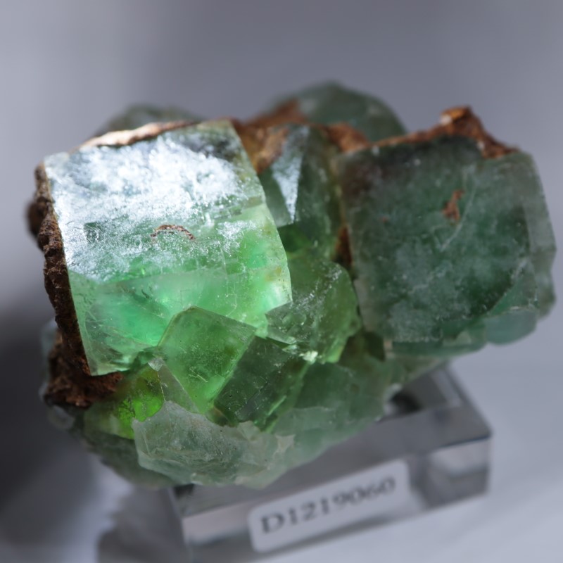 El Hammam�ۻ����ե����饤��