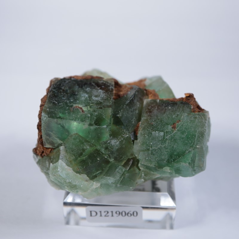 El Hammam�ۻ����ե����饤��