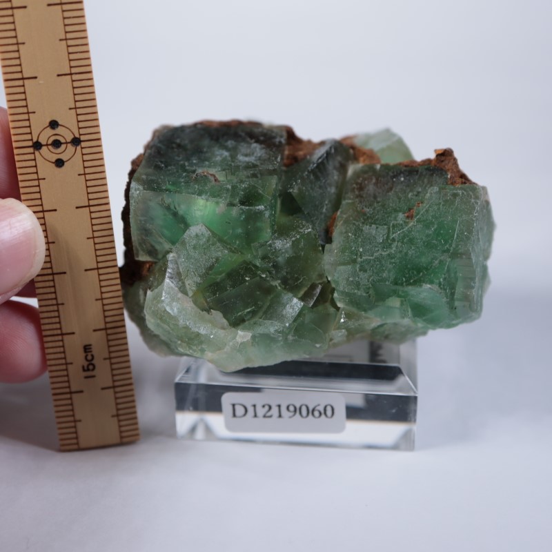 El Hammam�ۻ����ե����饤��