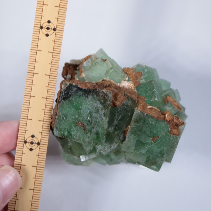 El Hammam�ۻ����ե����饤��