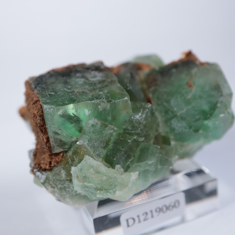 El Hammam�ۻ����ե����饤��