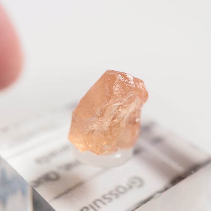 �����ե꡼�ۻ�����������顼�����ͥå�