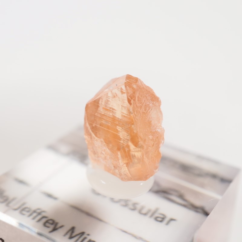 �����ե꡼�ۻ�����������顼�����ͥå�