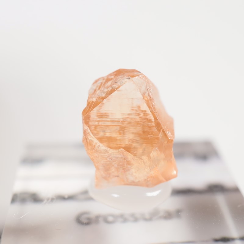 �����ե꡼�ۻ�����������顼�����ͥå�