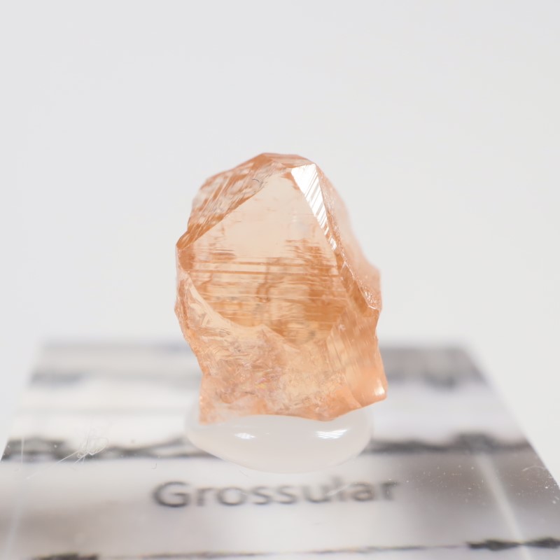 �����ե꡼�ۻ�����������顼�����ͥå�