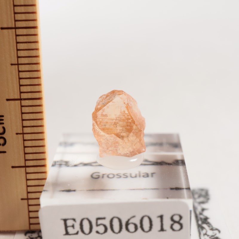 �����ե꡼�ۻ�����������顼�����ͥå�