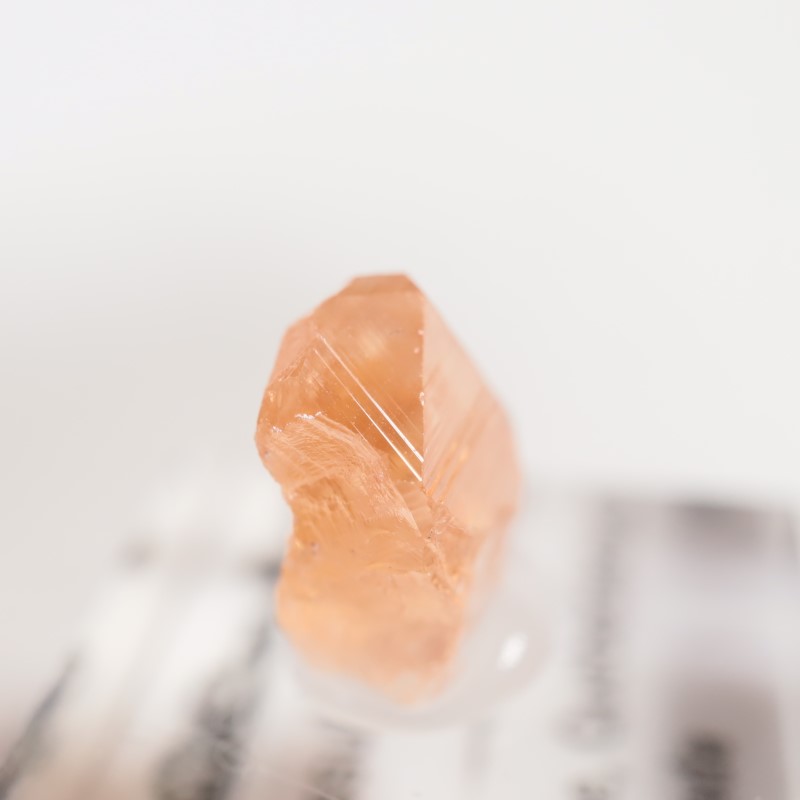 �����ե꡼�ۻ�����������顼�����ͥå�