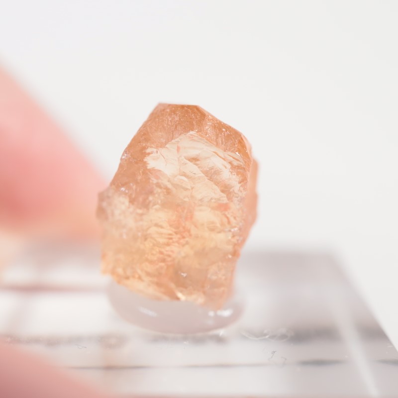 �����ե꡼�ۻ�����������顼�����ͥå�